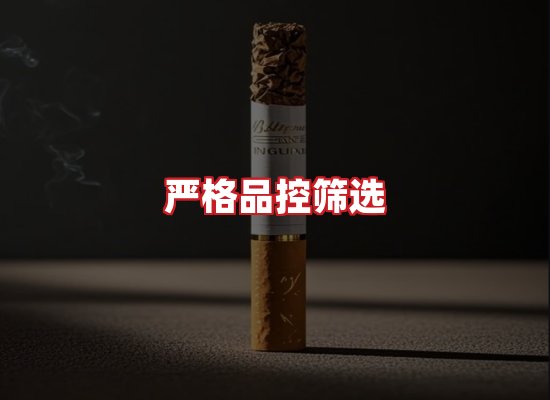 专业团队